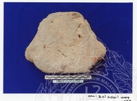 ARKEOLOGI SG. MAS, KEDAH SM : 32 / 2001 / 252 - 498 (JILID 2)