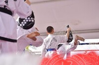 HMA 2025- 26.7.2025 -  PERTUNJUKAN TAEKWONDO