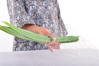 DOKUMENTASI PENGGUNAAN GANTANG DAN CUPAK UNTUK PAMERAN METROLOGI MEDM