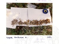 ARKEOLOGI SG. MAS, KEDAH SM: 32-5/ 93 VOL: 1 W