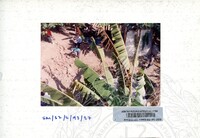 ARKEOLOGI SUNGAI MAS KEDAH 1993 FASA 2 W JILID 2