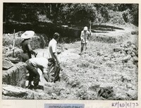 ARKEOLOGI BENDANG DALAM TPK 50 1974