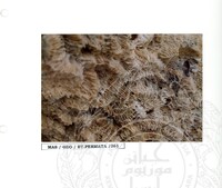 ALAM SEMULAJADI BATU PERMATA JILID 2