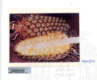 KOLEKSI PAMERAN ALAM SEMULAJADI 1994