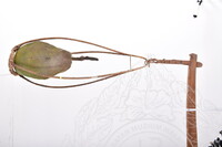 DOKUMENTASI PENGGUNAAN GANTANG DAN CUPAK UNTUK PAMERAN METROLOGI MEDM