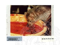 PAMERAN TEROKAI HANTU 2002 (JILID 3)