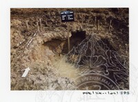 ARKEOLOGI KOTA KAYANG PERLIS 2002 JILID 2