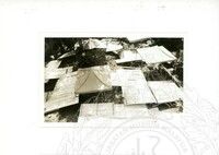 ARKEOLOGI SG. MAS, KEDAH SM, 32-4,93 VOL,3 HP FASA 4 LOKASI, POKOK, LAWATAN, CERAMAH, AKTIVITI - HITAM/ PUTIH. HASSAN