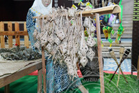 MINI PAMERAN RAYA-RAYA BUSANA TRADISI