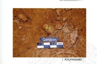 ARKEOLOGI TAMPAN, LENGGONG, PERAK JILID 4