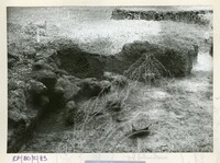 ARKEOLOGI BENDANG DALAM TPK 50 1974