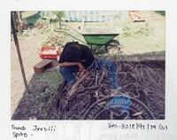 ARKEOLOGI SG. MAS, KEDAH SM: 32-8/95 (JILID 2) (WARNA)