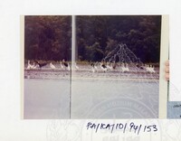 PAMERAN KEINDAHAN ALAM 1994