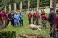 PROGRAM IBADAH QURBAN DAN AQIQAH 1440H 2019