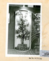 PAMERAN PANDU PUTERI