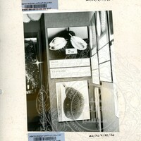 BAHAN PAMERAN DURIAN RAJA SEGALA BUAH