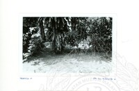 ARKEOLOGI SG. MAS, KEDAH SM: 32-4/ 93 VOL: 2 HP