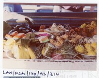 LAWATAN TEKSTIL SEJARAH KALIMATAN JILID 2