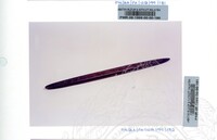 PAMERAN WARISAN BORNEO 1 1999