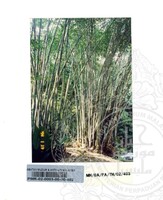 PAMERAN TEROKAI HANTU 2002 (JILID 3)