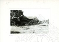 ARKEOLOGI SG. MAS, KEDAH SM, 32-4,93 VOL,3 HP FASA 4 LOKASI, POKOK, LAWATAN, CERAMAH, AKTIVITI - HITAM/ PUTIH. HASSAN