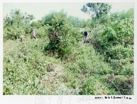 ARKEOLOGI SG. MAS, KEDAH SM: 32/ 2001/ 1-251 (JILID 1)