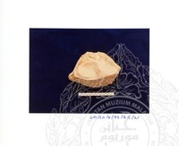 ARKEOLOGI SG. MAS, KEDAH SM : 32-4/93 VOL:2 W