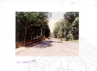 ARKEOLOGI SG. MAS, KEDAH SM: 32-4/ 93 VOL: 5 W