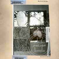 BAHAN PAMERAN DURIAN RAJA SEGALA BUAH