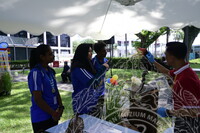 HMA 2024 - SPEED DATING WITH MUSEUM PRACTITIONERS