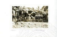 ARKEOLOGI SG. MAS, KEDAH SM, 32-4,93 VOL,3 HP FASA 4 LOKASI, POKOK, LAWATAN, CERAMAH, AKTIVITI - HITAM/ PUTIH. HASSAN