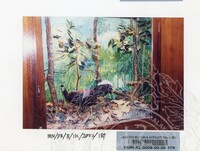 PAMERAN BALAI ILMU KEJADIAN 2002 BALAI C