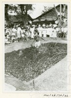 PERAYAAN THAIPUSAM JILID 2