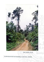 PENYELIDIKAN SURVEI ARKEOLOGI PERTUKAAN DAN EXPLORASI AWAL KOTA PURBA, LINGGIU, KOTA TINGGI JOHOR, PADA 04.08.2005,