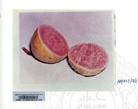 KOLEKSI PAMERAN ALAM SEMULAJADI 1994