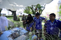 HMA 2024 - SPEED DATING WITH MUSEUM PRACTITIONERS