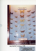 PAMERAN BALAI ILMU KEJADIAN 2002 BALAI C