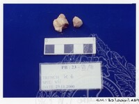 ARKEOLOGI SG. MAS, KEDAH SM : 32 / 2001 / 252 - 498 (JILID 2)