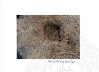 ARKEOLOGI SG. MAS, KEDAH SM : 32-4/93 VOL:2 W