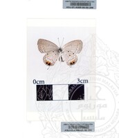 ALAM SEMULAJADI RAMA-RAMA JILID 1