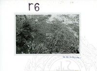 ARKEOLOGI SG. MAS, KEDAH SM : 32 - 3 / 93 8 HP