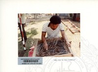 ARKEOLOGI SUNGAI MAS KEDAH 1993 FASA 2 W JILID 2