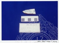 ARKEOLOGI SG. MAS, KEDAH SM : 32 / 2001 / 252 - 498 (JILID 2)