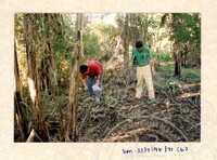 ARKEOLOGI SG. MAS, KEDAH SM: 32-7/ 95 (JILID 2) (WARNA)