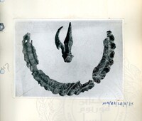 BAHAN PURBA LEMBAH BUJANG, KEDAH 1 (ETNOLOGI)