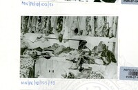 PAMERAN IDILFITRI DI MALAYSIA 1982