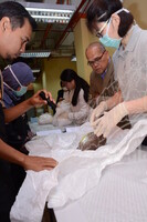 GAMBAR KOLEKSI DAN PENGENDALIAN PAMERAN GELARI 1