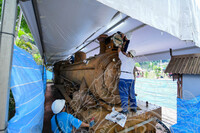 BENGKEL KONSERVASI LOKOMOTIF WAP 531.01