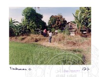 ARKEOLOGI SG. MAS, KEDAH SM: 32-5/ 93 VOL: 1 W