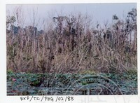 SURVEI KAWASAN SEKITAR TASIK CHINI DAN PENEMPATAN PENDUDUK ORANG ASLI YANG MENGHUNI SEKITAR KAWASANNYA PADA 27 OKTOBER 2002